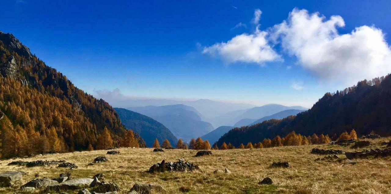 Taxus Hostel Pieve Tesino Экстерьер фото