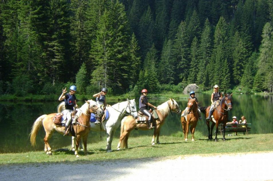 Taxus Hostel Pieve Tesino Экстерьер фото
